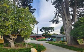 Carmel River Inn & Cottages